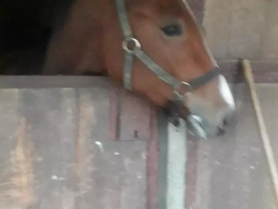 ufficio in vendita a Fucecchio