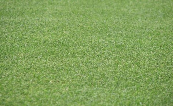 terreno edificabile in vendita a Fucecchio