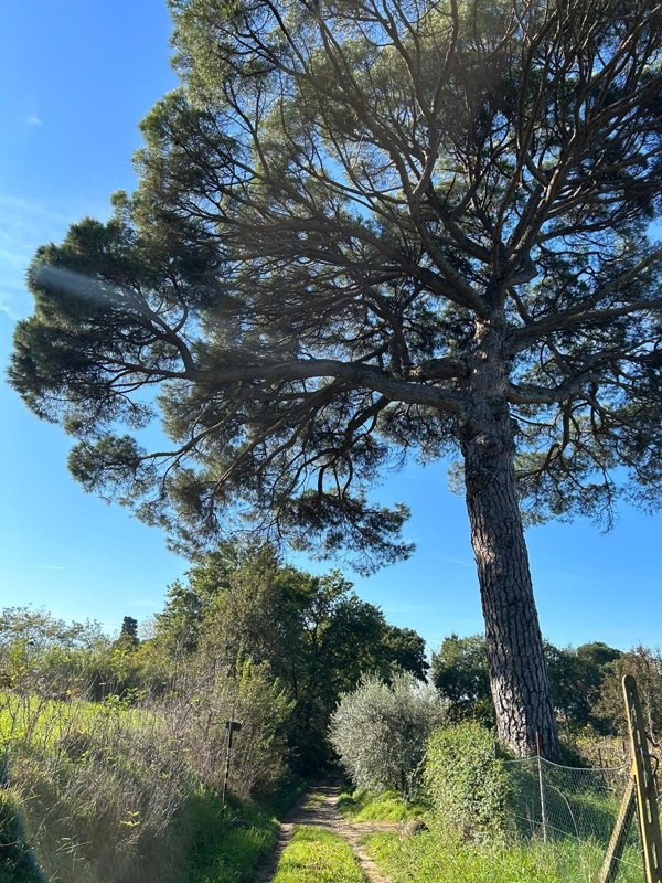 casale in vendita a Fucecchio