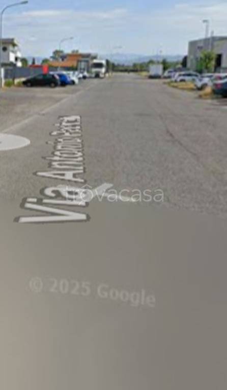 terreno agricolo in vendita a Fucecchio in zona Le Botteghe