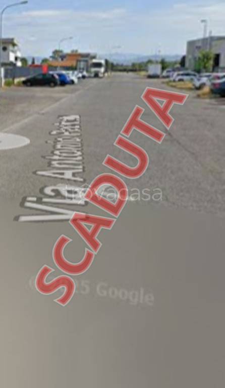 terreno agricolo in vendita a Fucecchio in zona Le Botteghe