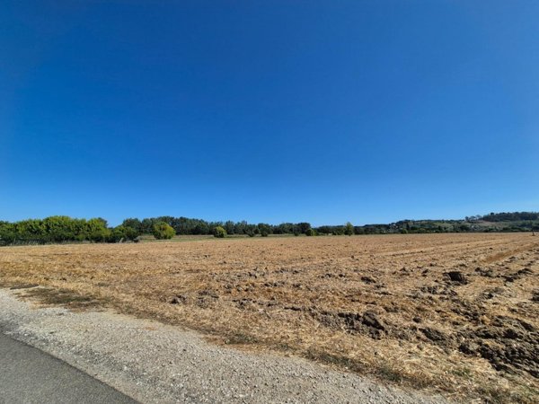 terreno agricolo in vendita a Fucecchio