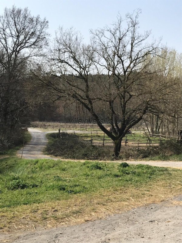 ufficio in vendita a Fucecchio