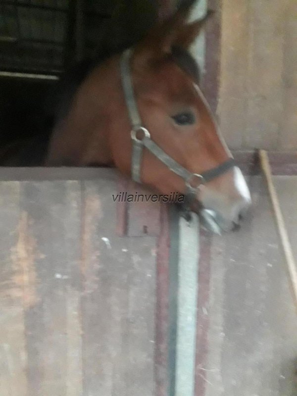 ufficio in vendita a Fucecchio