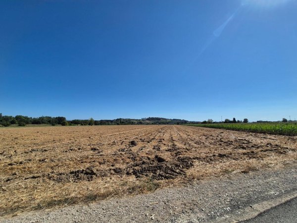 terreno agricolo in vendita a Fucecchio