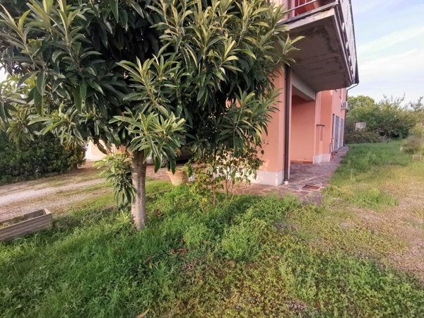 casa indipendente in vendita a Fucecchio