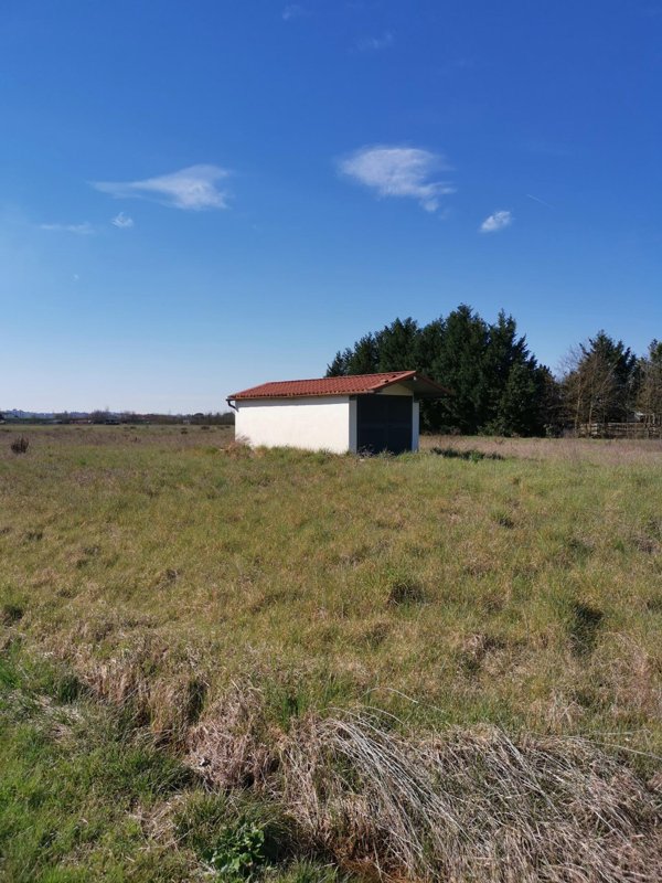 terreno agricolo in vendita a Fucecchio in zona San Pierino