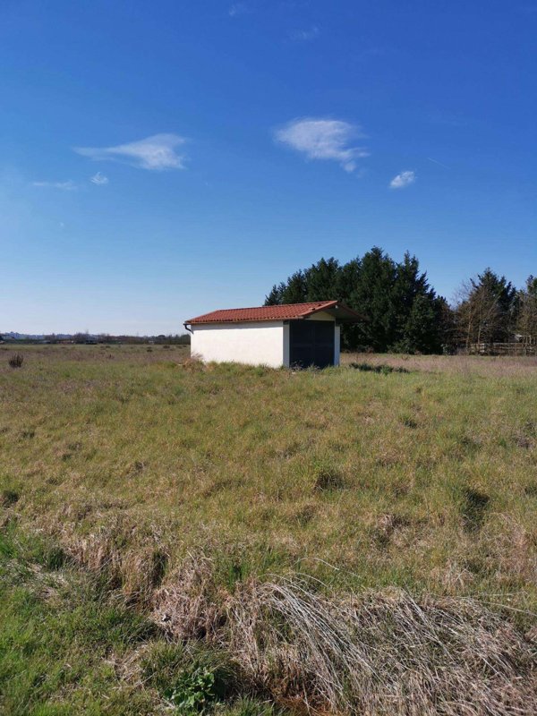 terreno agricolo in vendita a Fucecchio