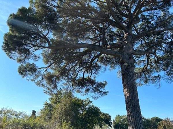 casa indipendente in vendita a Fucecchio