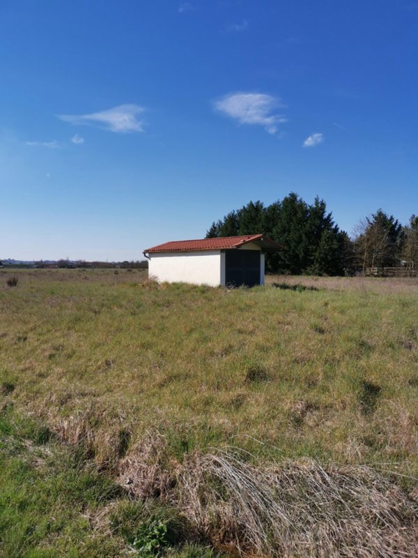 terreno agricolo in vendita a Fucecchio in zona San Pierino