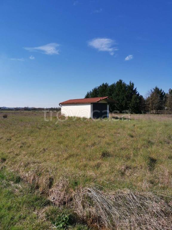 terreno agricolo in vendita a Fucecchio in zona San Pierino