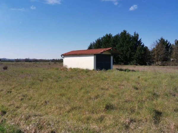 terreno agricolo in vendita a Fucecchio in zona San Pierino