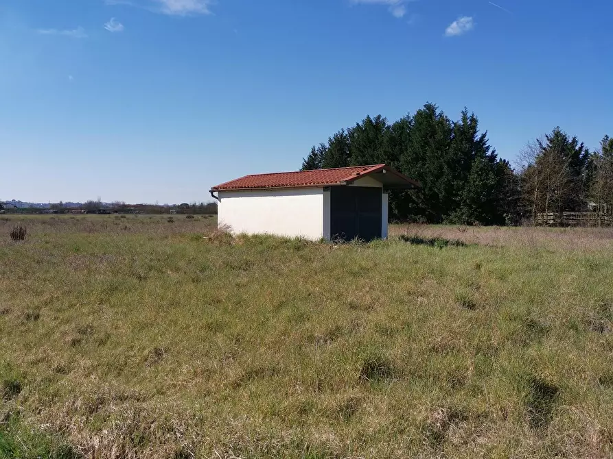 terreno agricolo in vendita a Fucecchio in zona San Pierino