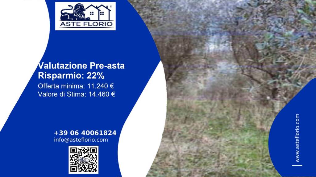 terreno agricolo in vendita a Fucecchio