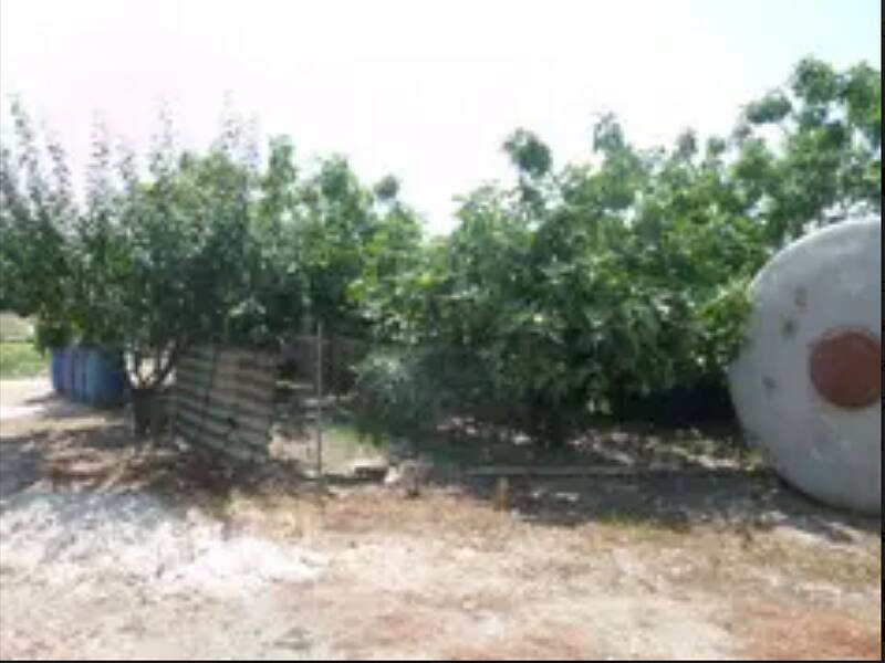 terreno agricolo in vendita a Fucecchio