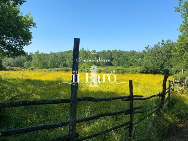 negozio in vendita a Fucecchio