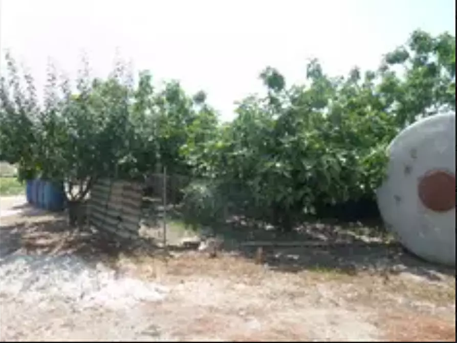 terreno agricolo in vendita a Fucecchio