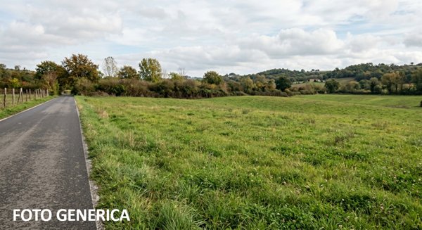 terreno agricolo in vendita a Fucecchio