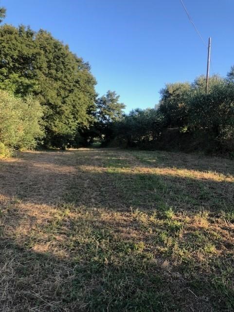 casa indipendente in vendita a Fucecchio in zona Massarella