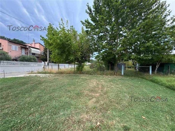 terreno agricolo in vendita a Fucecchio