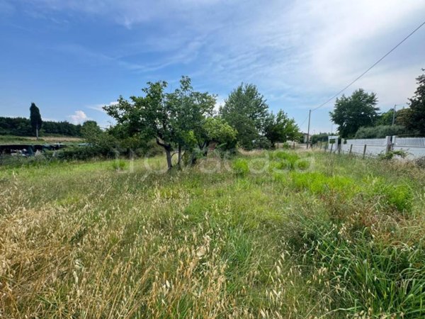 terreno agricolo in vendita a Fucecchio