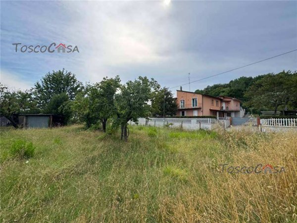 terreno agricolo in vendita a Fucecchio