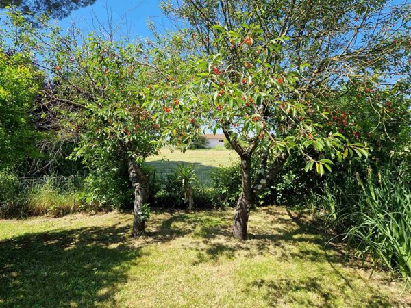 casa indipendente in vendita a Fucecchio in zona San Pierino