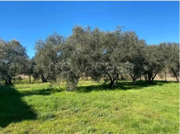 casa indipendente in vendita a Fucecchio