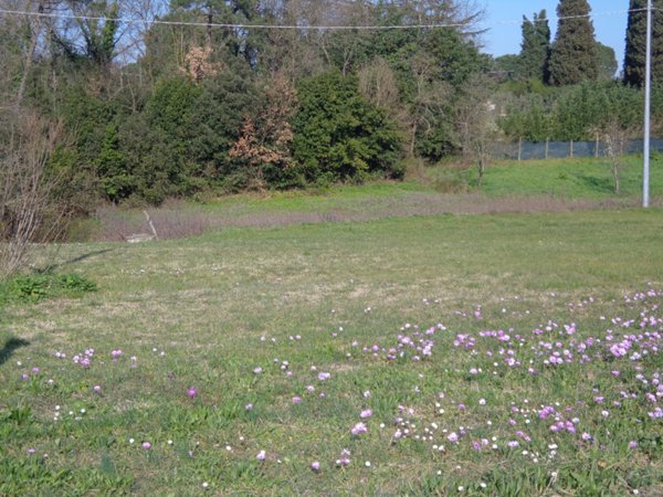 terreno in vendita a Fucecchio