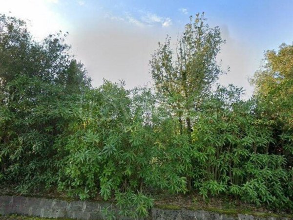 appartamento in vendita a Fucecchio