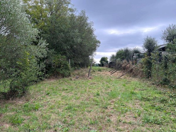 terreno agricolo in vendita a Fucecchio in zona Massarella