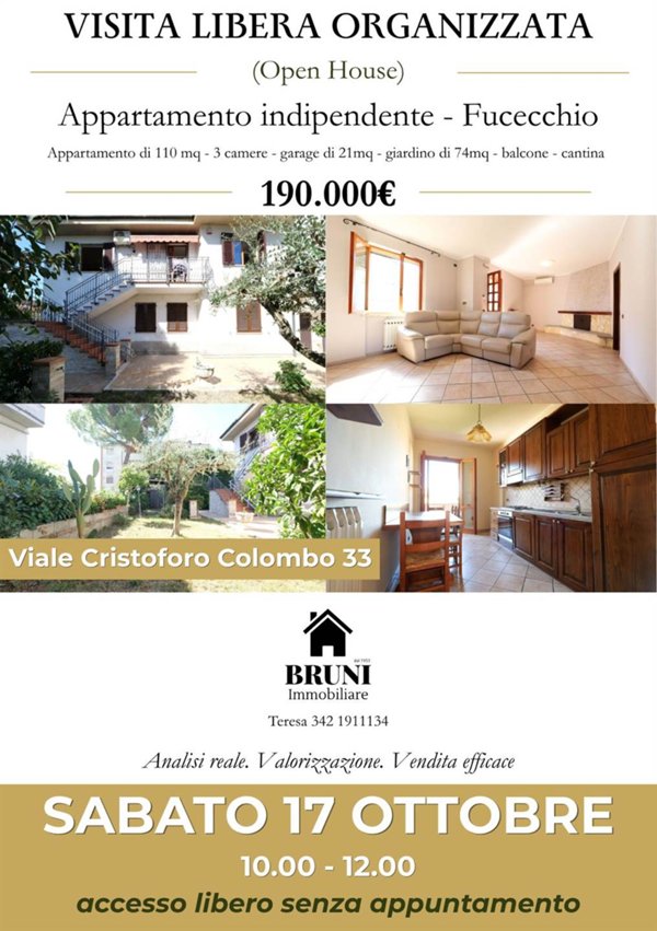 immagine annuncio 0 di 15