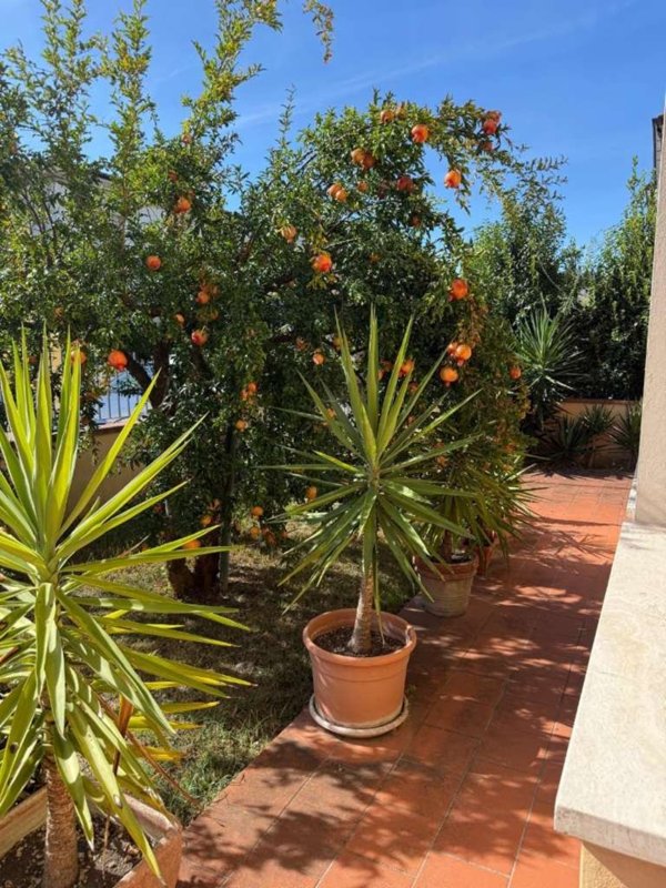 casa indipendente in vendita a Fucecchio