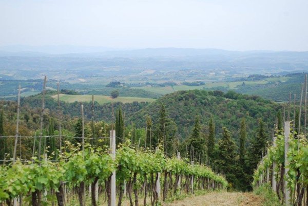 terreno agricolo in vendita a Gambassi Terme