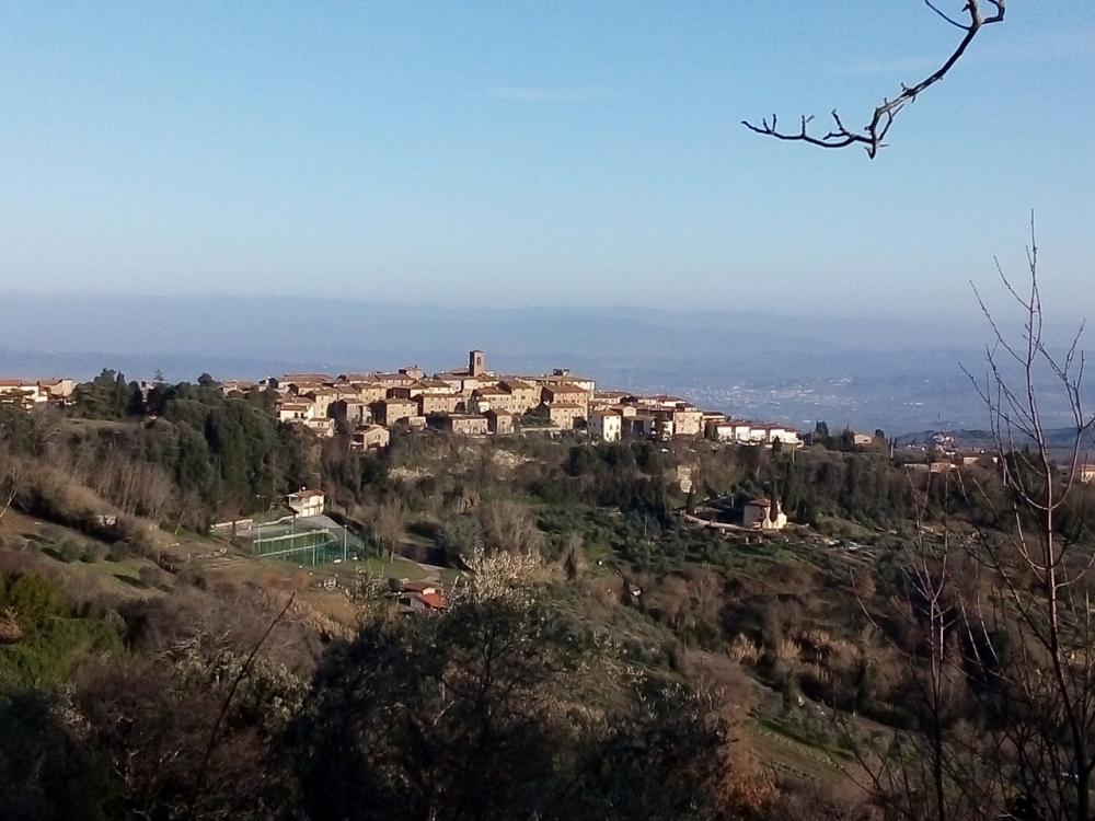 terreno agricolo in vendita a Gambassi Terme