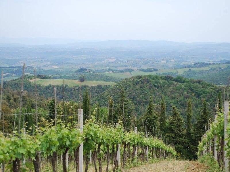 terreno agricolo in vendita a Gambassi Terme