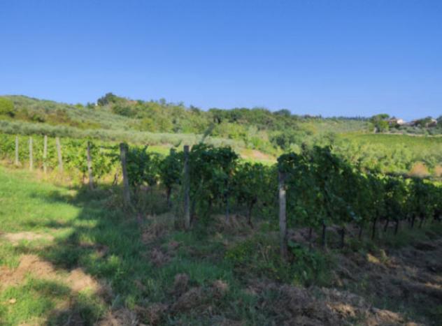 terreno agricolo in vendita a Gambassi Terme