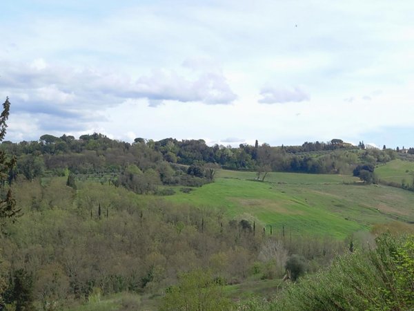 appartamento in vendita a Gambassi Terme