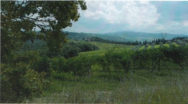negozio in vendita a Gambassi Terme