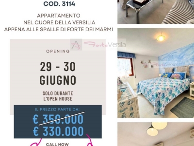 appartamento in vendita a Gambassi Terme