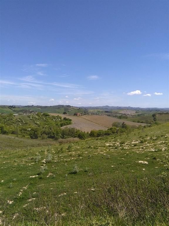 azienda agricola in vendita a Gambassi Terme