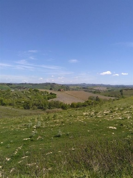 azienda agricola in vendita a Gambassi Terme