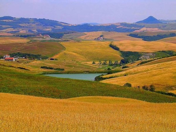 terreno agricolo in vendita a Gambassi Terme