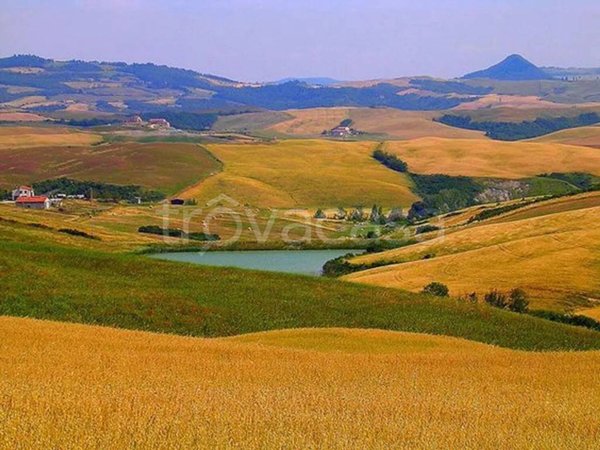 terreno agricolo in vendita a Gambassi Terme