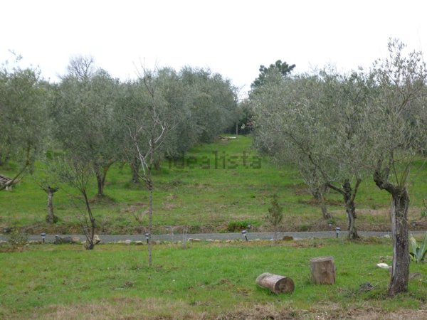 terreno agricolo in vendita a Gambassi Terme