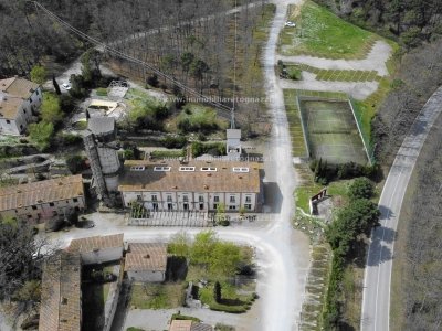 negozio in vendita a Gambassi Terme