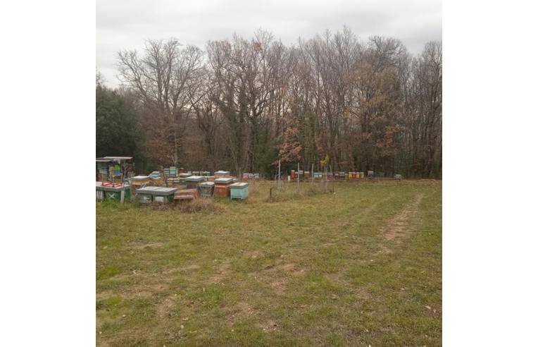 terreno agricolo in vendita a Gambassi Terme in zona Badia a Cerreto