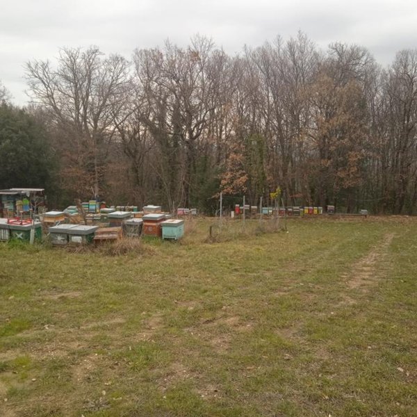 terreno agricolo in vendita a Gambassi Terme in zona Badia a Cerreto