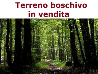 terreno agricolo in vendita a Gambassi Terme