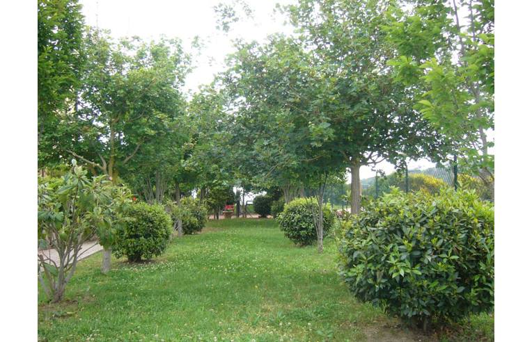 appartamento in vendita a Gambassi Terme